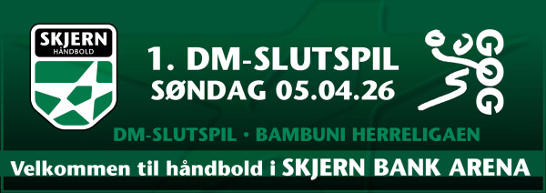 DM-Slutspil: Skjern Håndbold - GOG